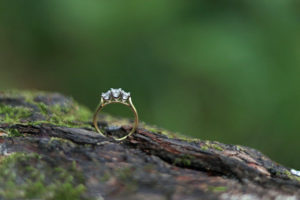 Engagement ring, moss wood, diamond ring